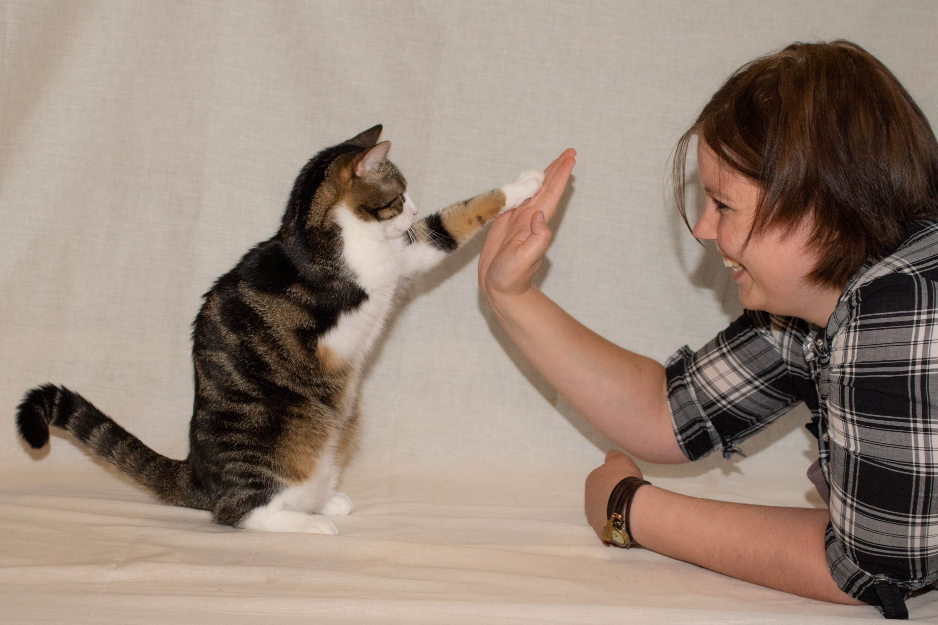 High-Five High-Five