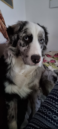 Photo from customer review