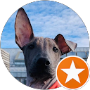 Susanne S. profile picture