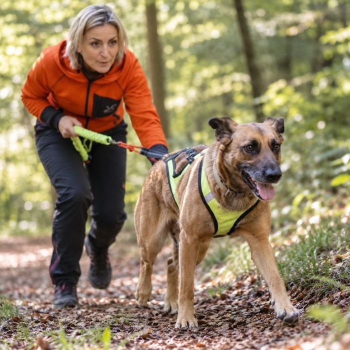 Frau läuft mit einem Hund im Zuggeschirr auf einem Waldweg